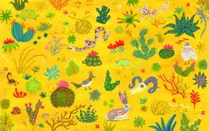 Yellow Aesthetic Succulent Plants